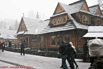 IMG_ (11415)